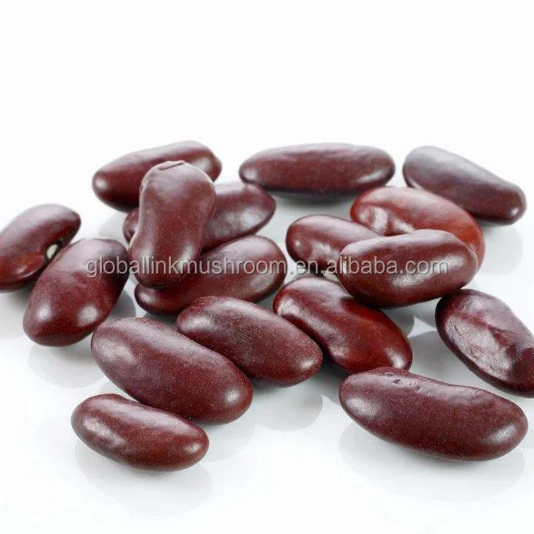 Dark red kidney bean low price