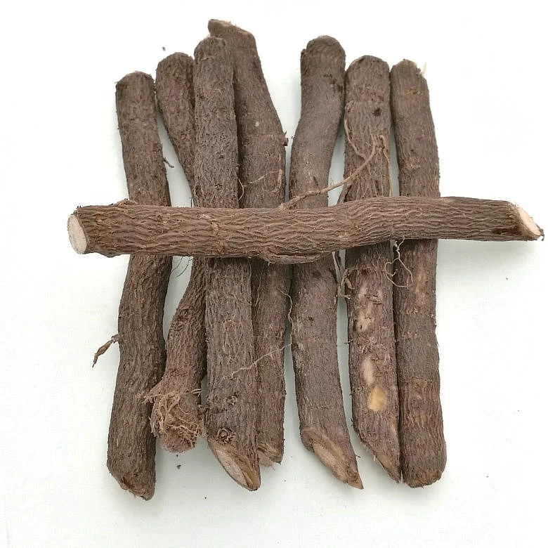 
Лучшая Поставка семян удлиненной павловнии, корневой вырезки 