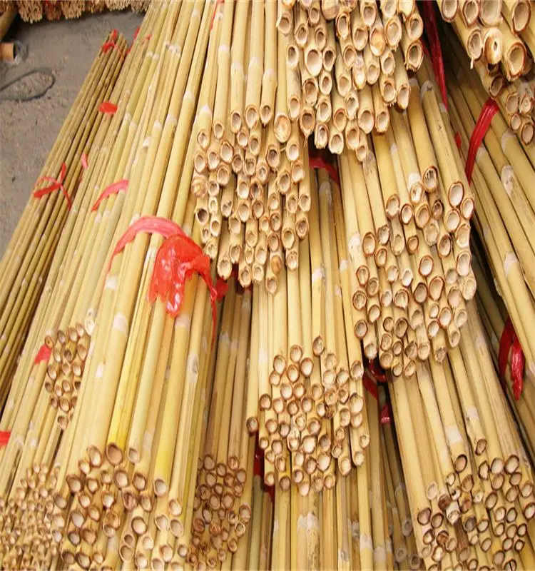 wholesale! High-quality bamboo poles Plant support rods