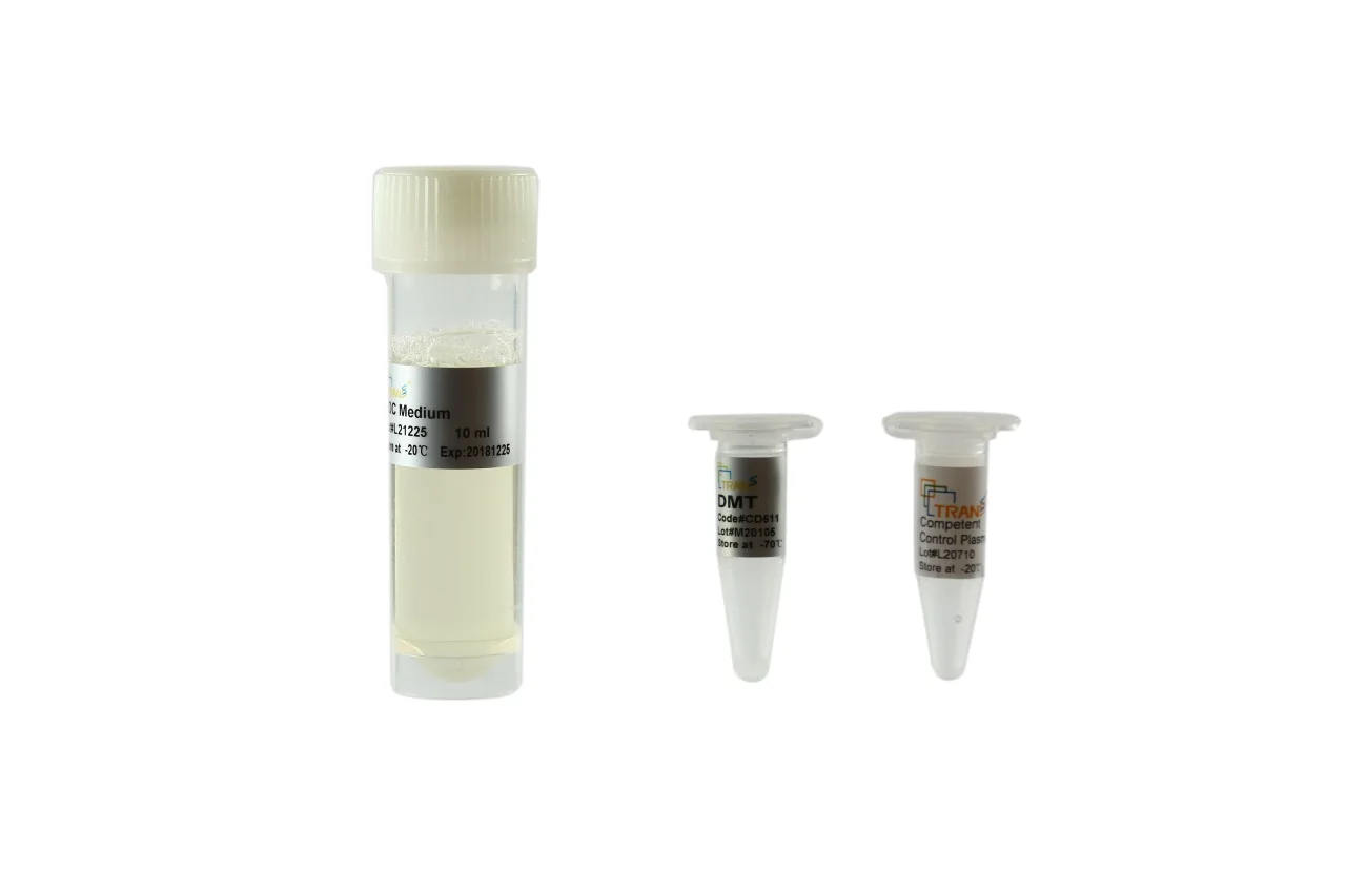 
DMT Chemically Competent Cell 