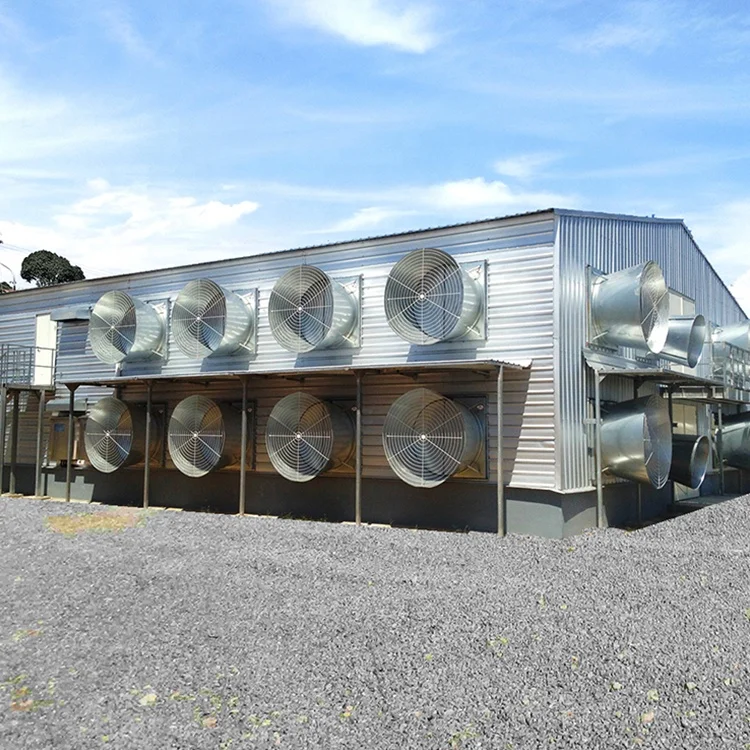 2024 Hot Selling prefab steel building automatic chicken house with egg cage