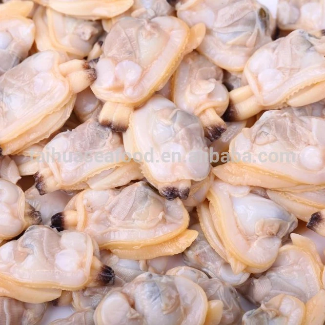 
sea frozen baby clam meat 