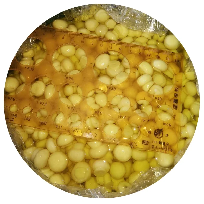 
D preserved mushroom in drum 