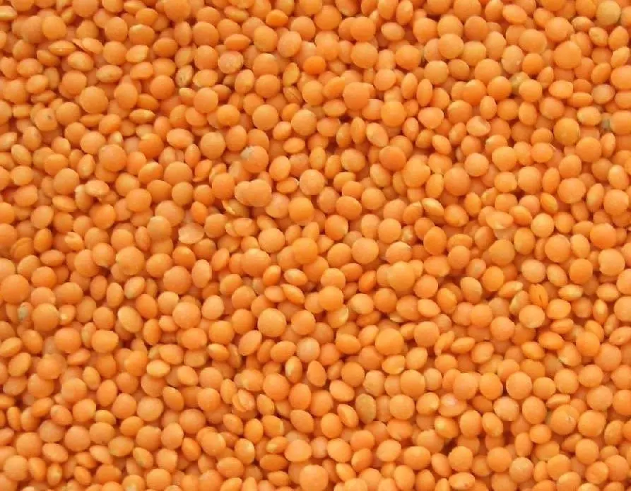 Chana dal Split Desi Chickpea Bengal Gram Yellow Gram Gram Chana Pois or Chicke Shihu