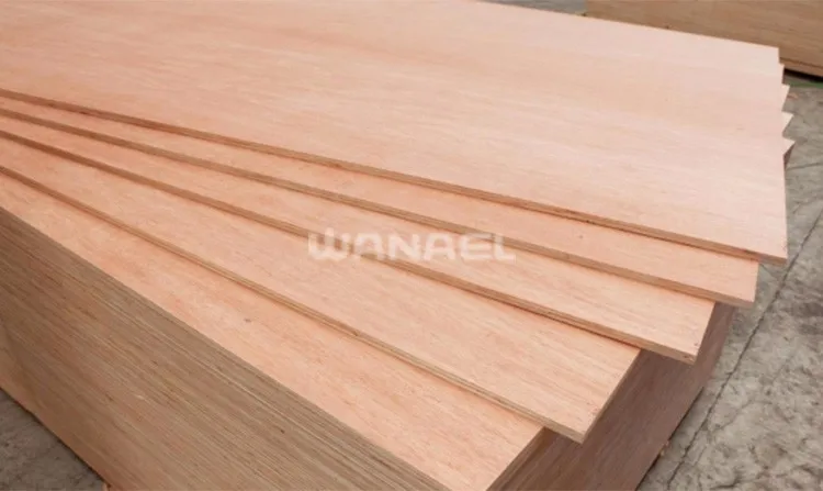 Wanael 18Mm Marine Plywood Board