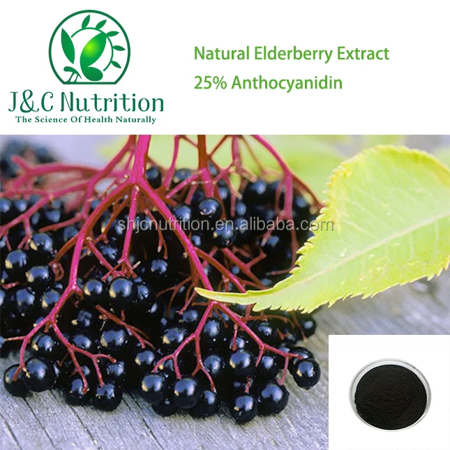 Organic 25% UV Anthocyanidins Powder Elderberry Extract Bulk Sambucol Black Elderberry