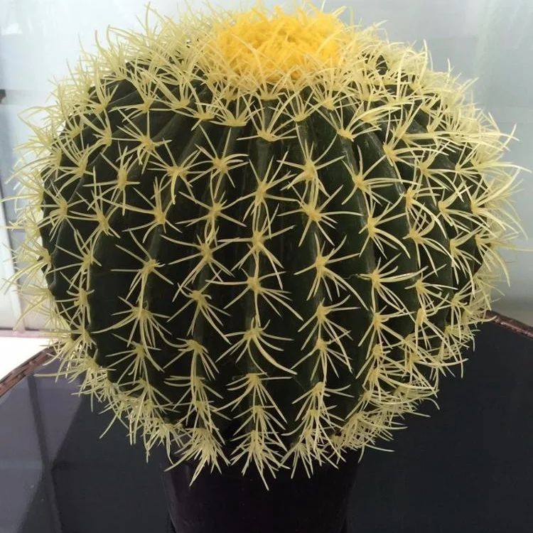 
TH-19 Artificial faux succulent round large cactus plant for indoor herb garden decoration 