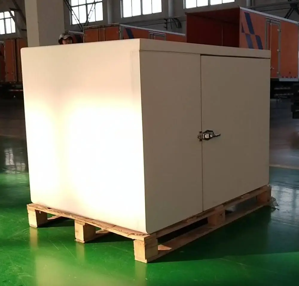 DC Mini Portable Cold Storage Room cold storage box for Refrigeration box truck/Ice cream Van