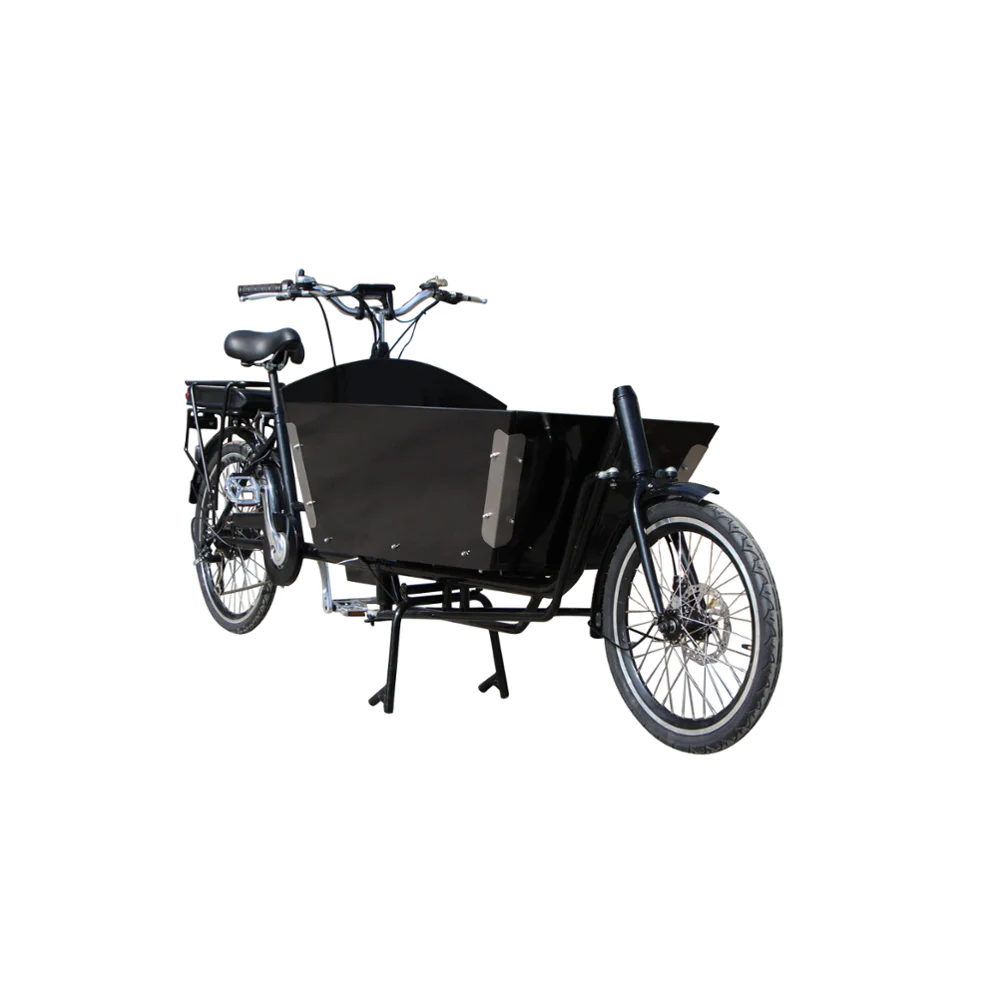 Chinese widely used 2 wheel electric cargo bike for sale