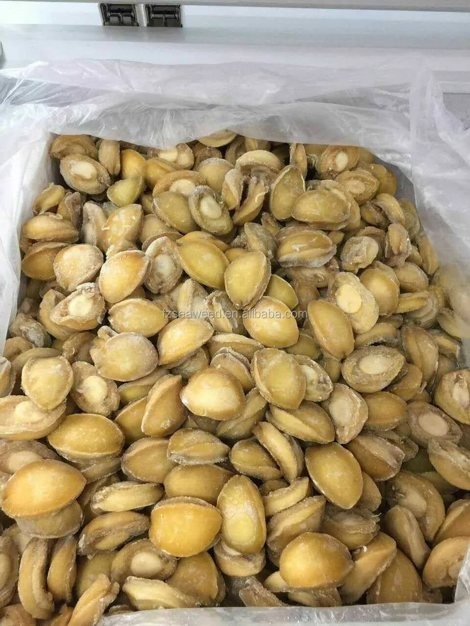 Dry Seafood Abalone Dried Abalone For Sale