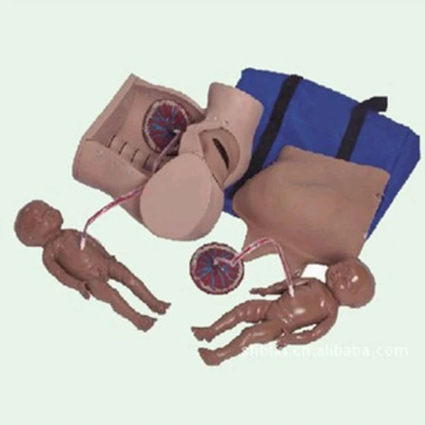 BIX-F52 Medical Science Nursing Training Made In China Pregnant Women And Childbirth Model