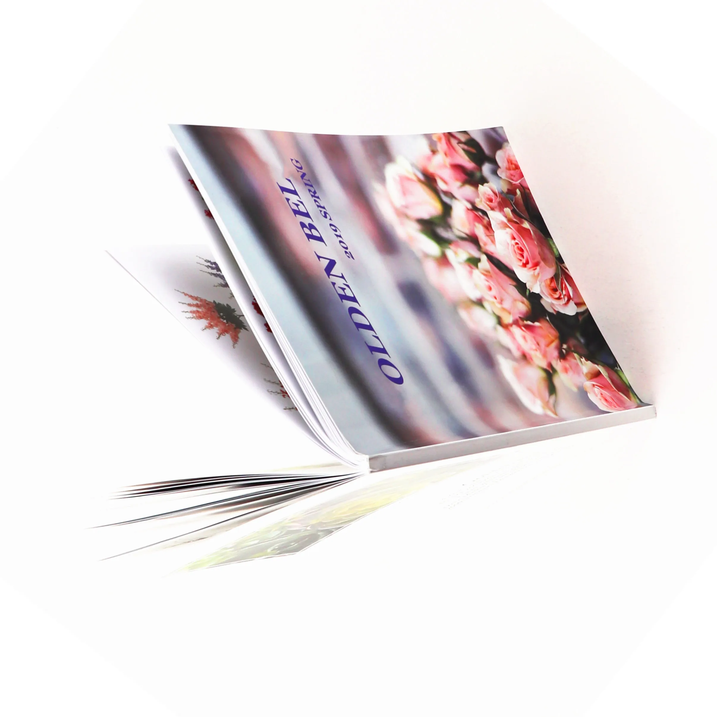 Birkenstocks beauty fair hair church chairs book rack rice album tempo herb ink book reader car magnet phone book whitening