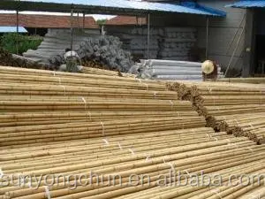 Large indonesia philippines sale panel Decorative natural roll up fencing agricultural stake diameter dry bamboo poles