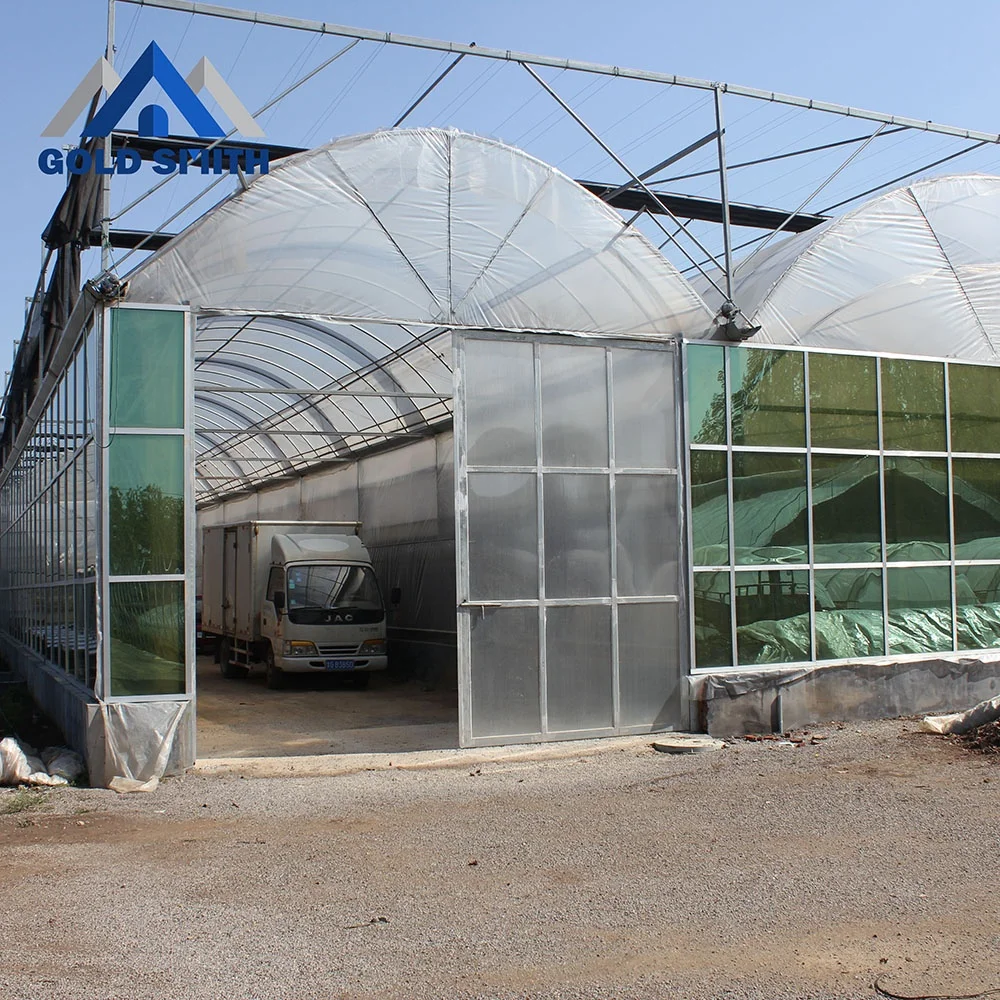 Commercial Multi-span Film Tunnel Agriculture Greenhouse with Hydroponic System