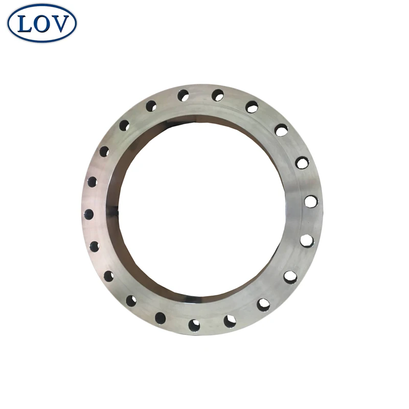 DIN 2577 Forged Stainless Steel Pipe Plate Flat Flange