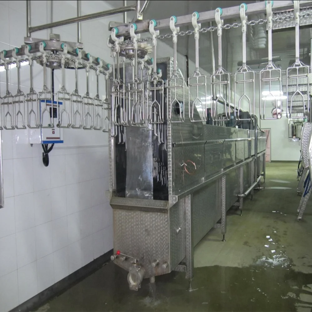 automatic poultry slaughterhouse frozen chicken meat processing scalder machinery
