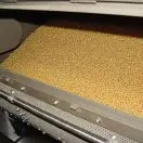 Made in Japan Odorless SQUALENE soft gel 99.9% purity, enhancement of immunity, effective to hangover