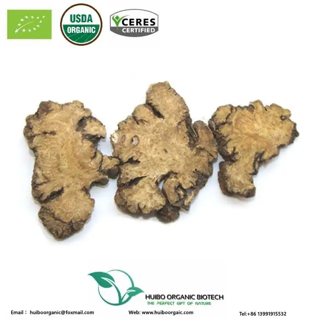 Szechuan lovage raw / Ligusticum chuanxiong extract