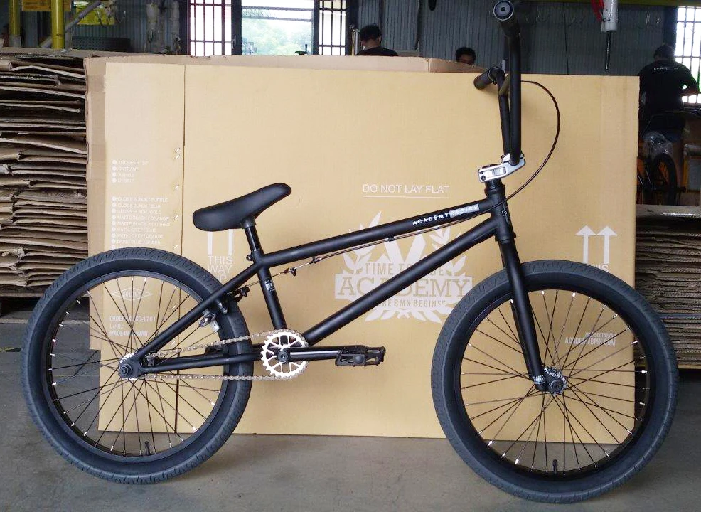 Freestyle single speed 20 inch BMX