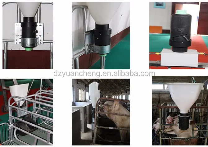 2017 best selling automatic pig feeder stainless steel pig feeder ball type pigs feeding line breeding