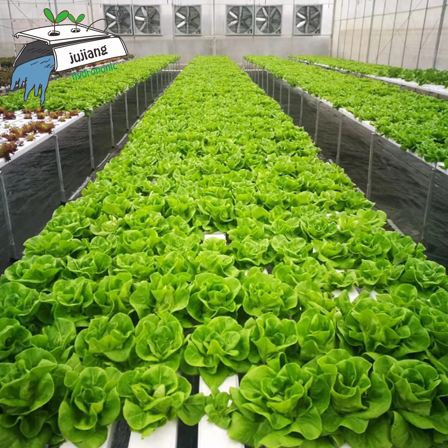 Каналы из ПВХ 100 50 мм и фитинг для гидропонных систем NFT-water out let