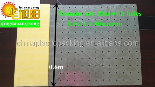 
PE plastic tomato growing protective tube film 