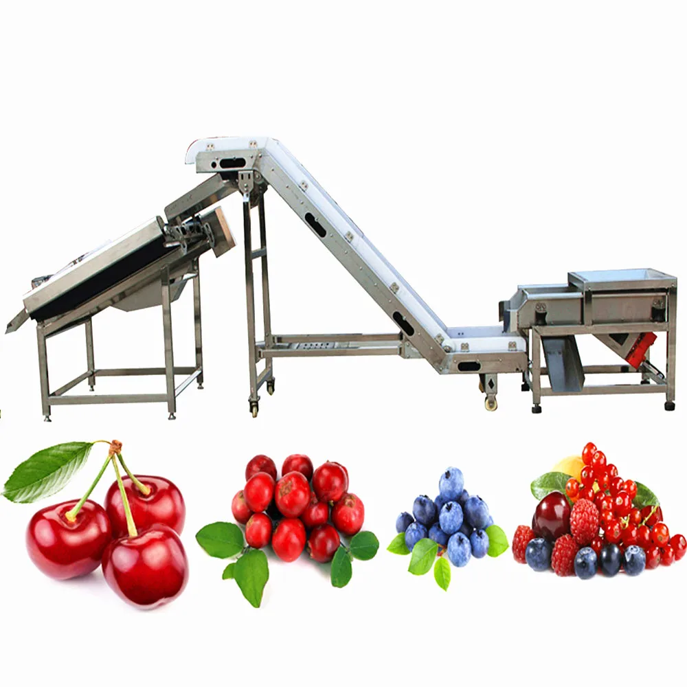 Fruits Washing Machine for Apricot Processing Line with Blackberry Strawberry Cleaning Sorting Equipment Machinery