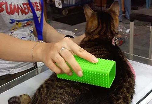  Non toxic Grooming Silicone Pet Hair Remover