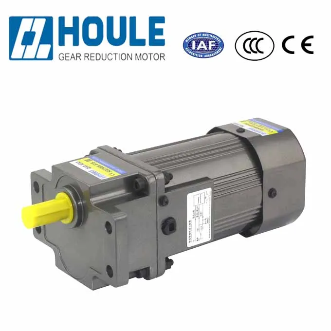 HOULE AC/DC 6W~400W Hot Sale AC Synchronous Gear Motor Micro Reduction Motor Gear Reducer