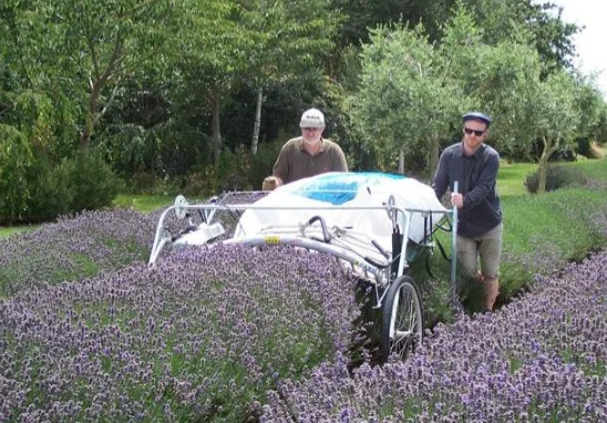 two-man tea harvester