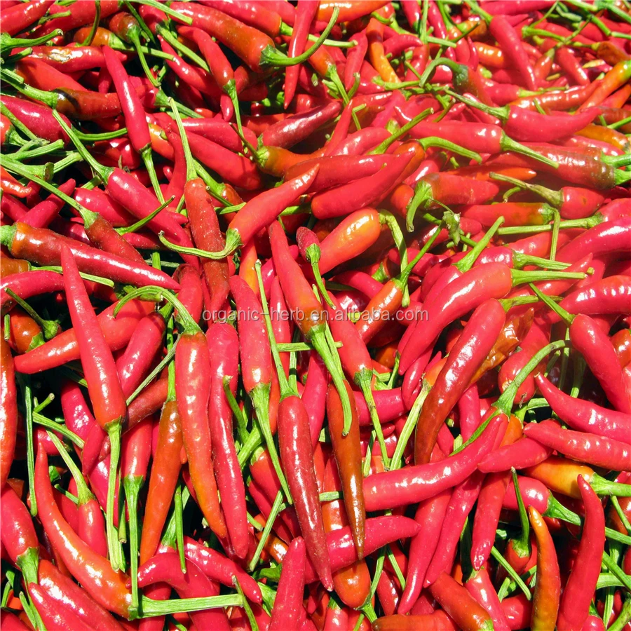 Capsanthin in Paprika Red Capsicum Annuum Pigment