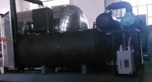 
Vacuum freeze dryer Vacuum freeze dryer series for vegetable and fruit Chemical ,Seafood 