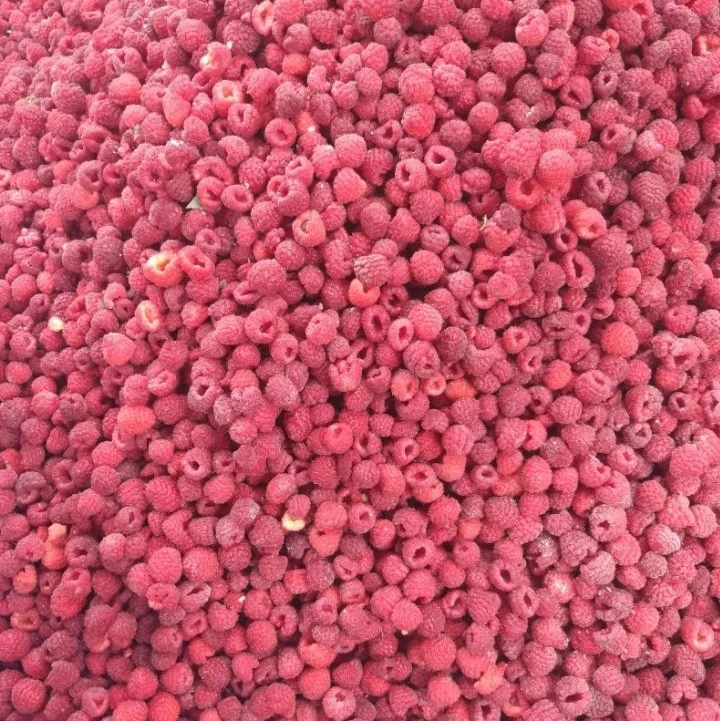 Frozen Raspberry