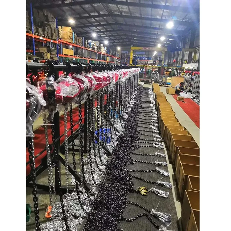 
SHUHUI brand HSZ-C type manual hand chain block with factory price 