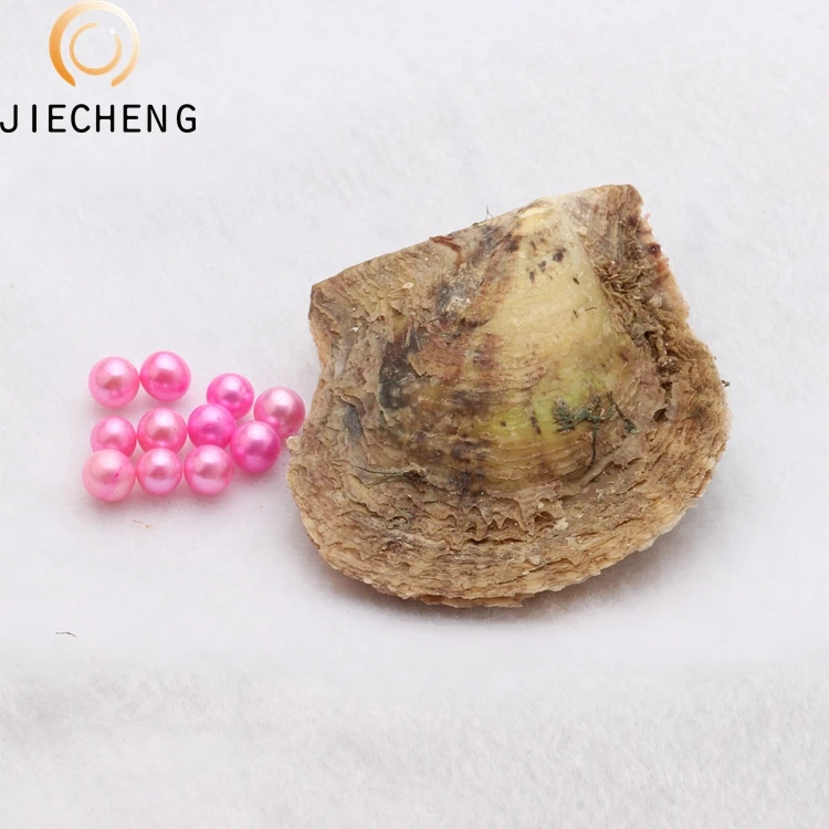 wholesale 100pcs oyster pearl 6-7mm china saltwater cultured akoya pearl oyster shell