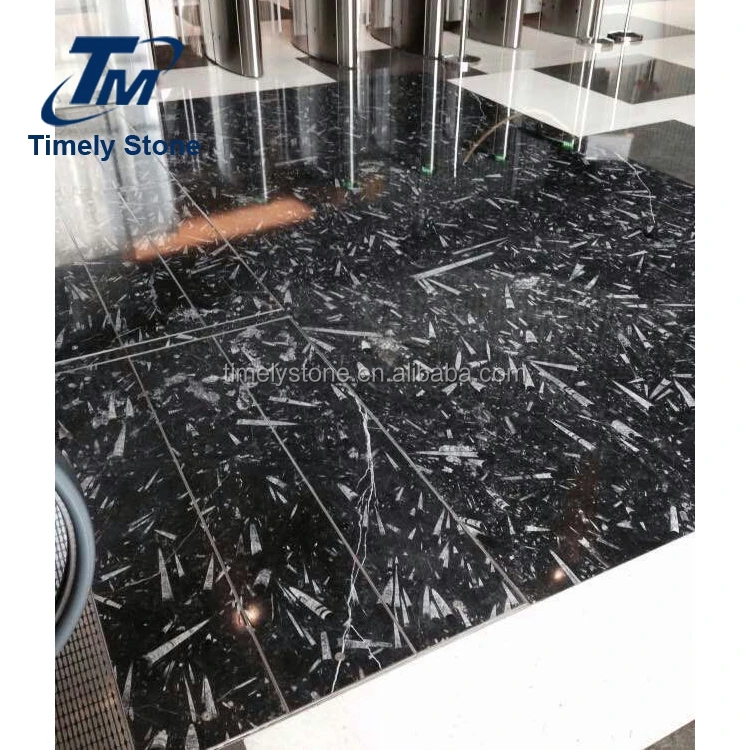 
Morocco marble rare slab black fossil marble wall 