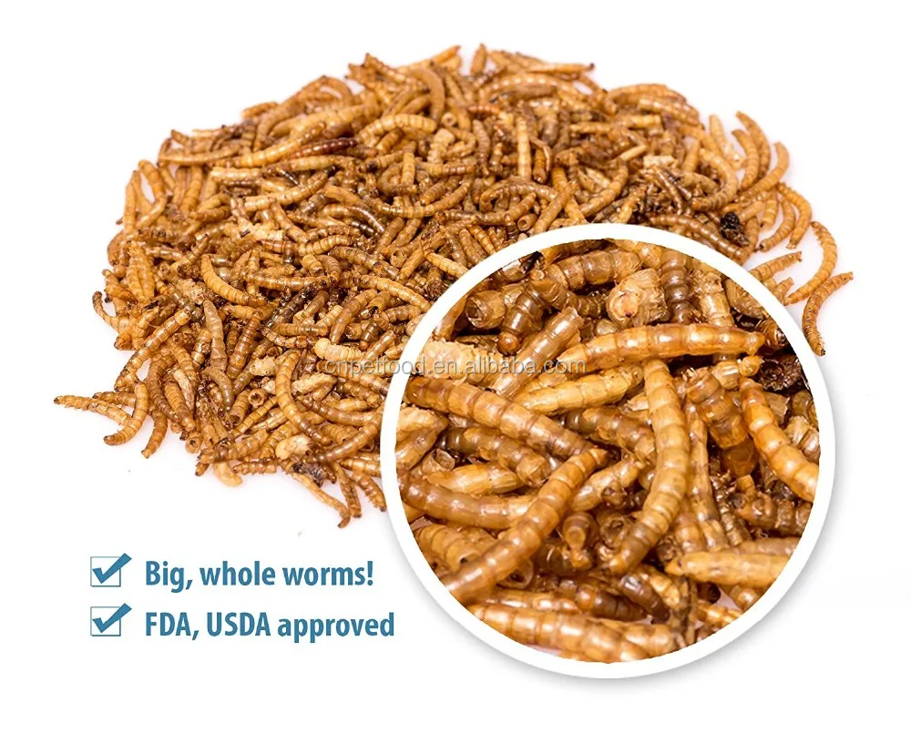 
Natural Dried Mealworms Poultry Feed Animal Feed 