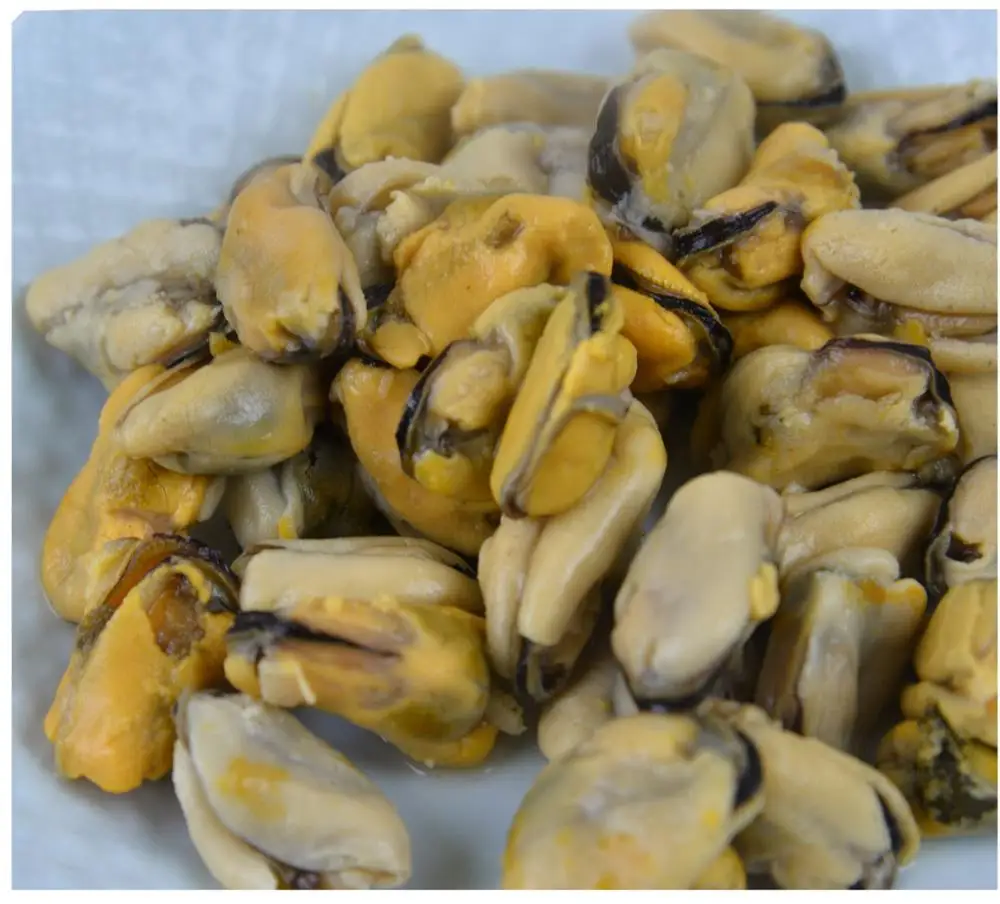 Frozen blue mussel meat company 1Kg/Bag or 10Kg/CTN Bulk Package