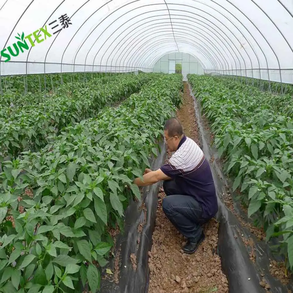 Strawberry Greenhouse Ground Cover Poly Film 20 Micron Black Pest Control Mulch Film 1*500m