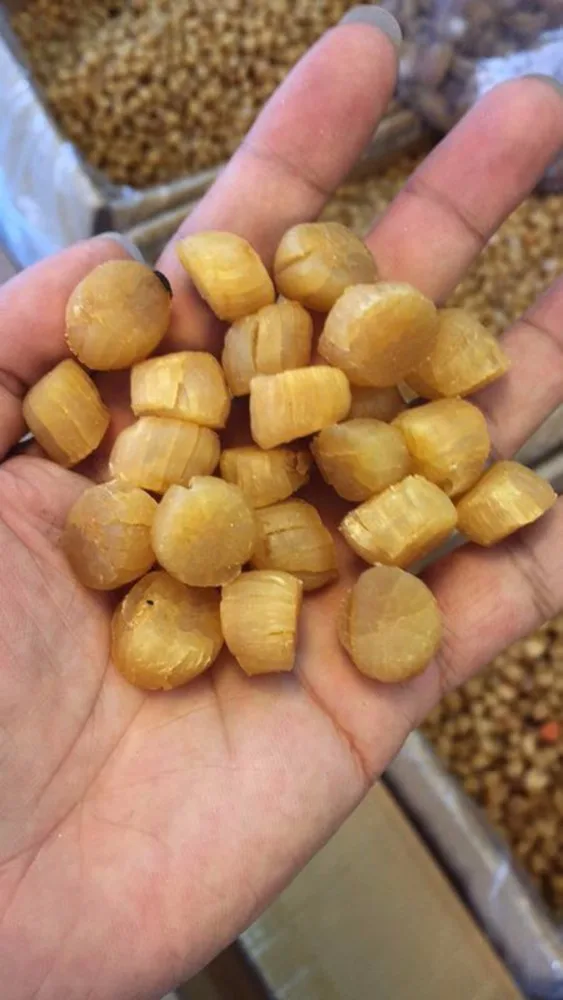
hot sales new season dried scallop in China 