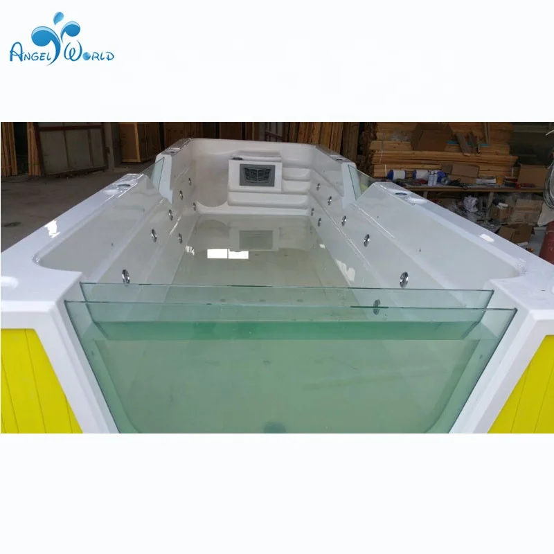 China Factory Freestanding Multi-function Acrylic Swimming Pool