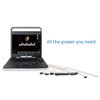 EBit60 портативный цветной ультразвук 4D для ветеринарии, собак, кошек, лошадей, дисплей 15,1 дюйма, 500 Гб