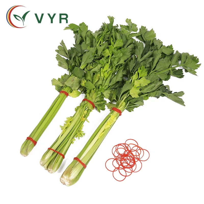 Low price hot product Eco-friendly high quality 0.8 Inches diameter red elastic rubber bands