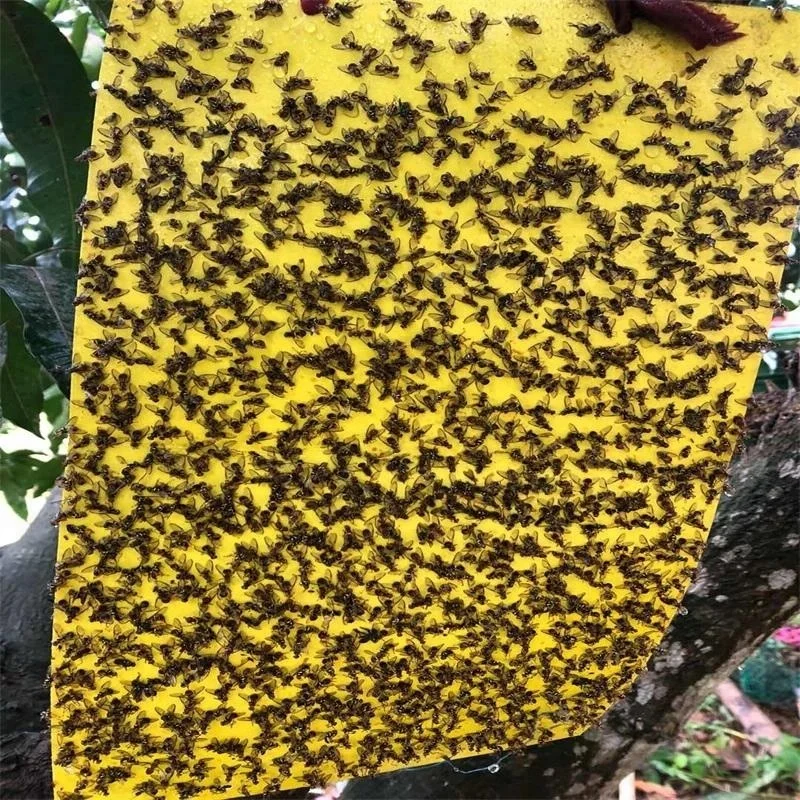 _20180605145940.jpg