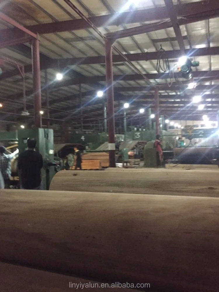 keruing wood veneer and gurjan face veneer for india market