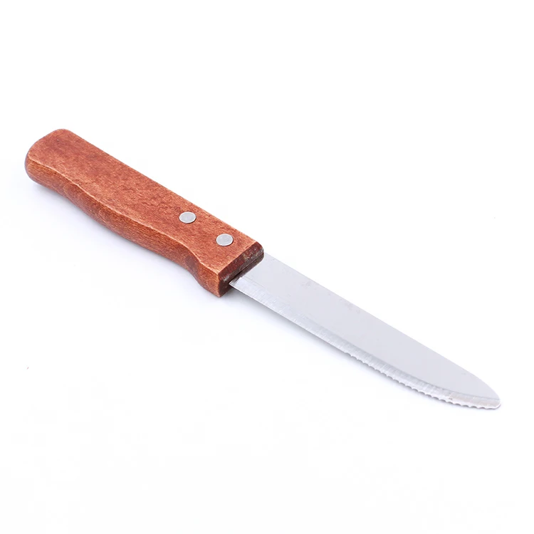 Best selling 5in Round Tip blade Jumbo Steak knife With Plastic handle