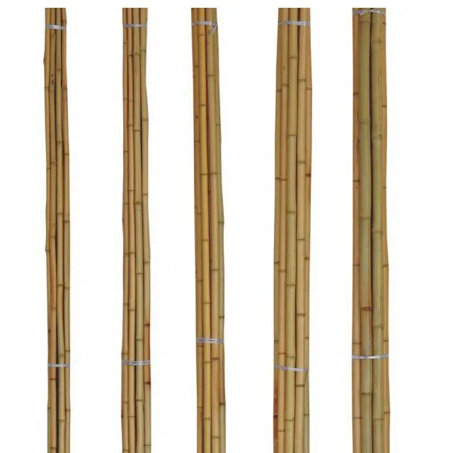 strong garden plant support bamboo pole/sticks/canes.
