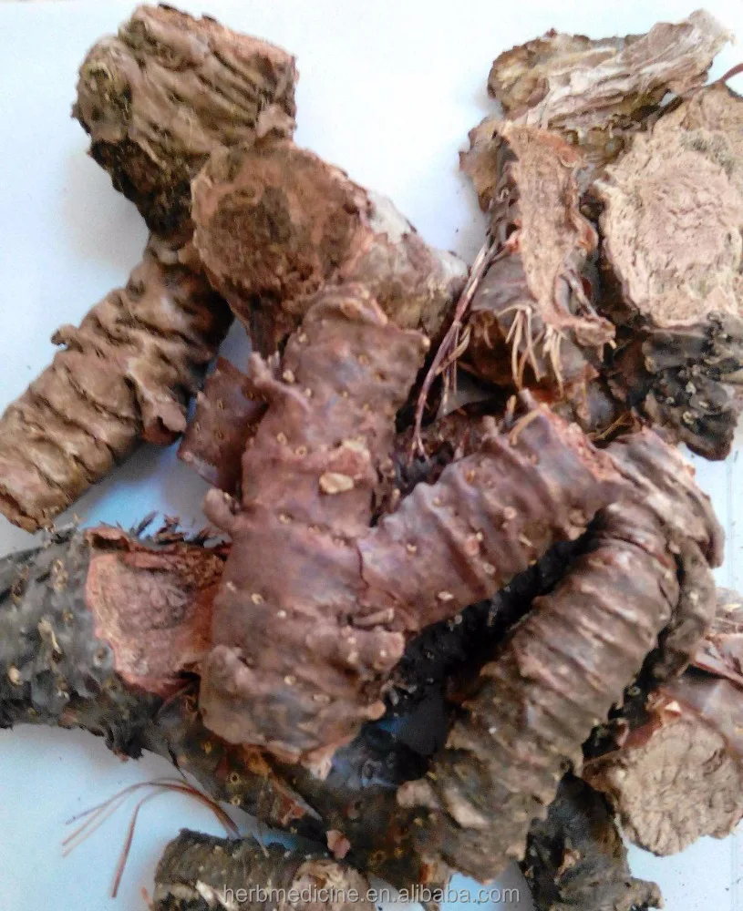 
Wild tibet Raw Root Rhodiola crenulata Hongjingtian 