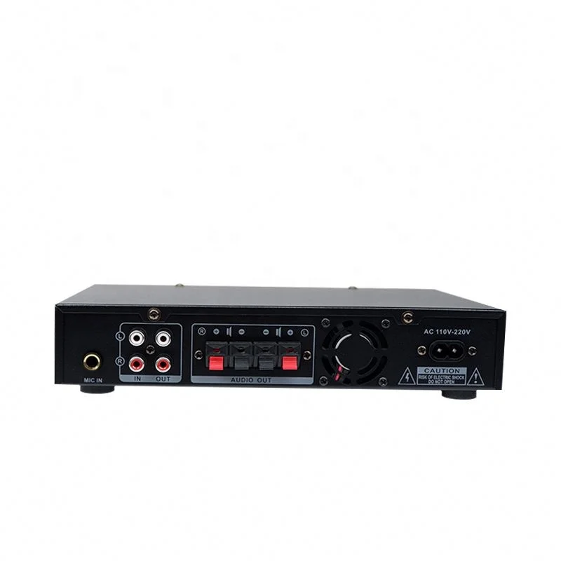 New Product Digital Home Theater Portable Use Mini Audio Amplifier