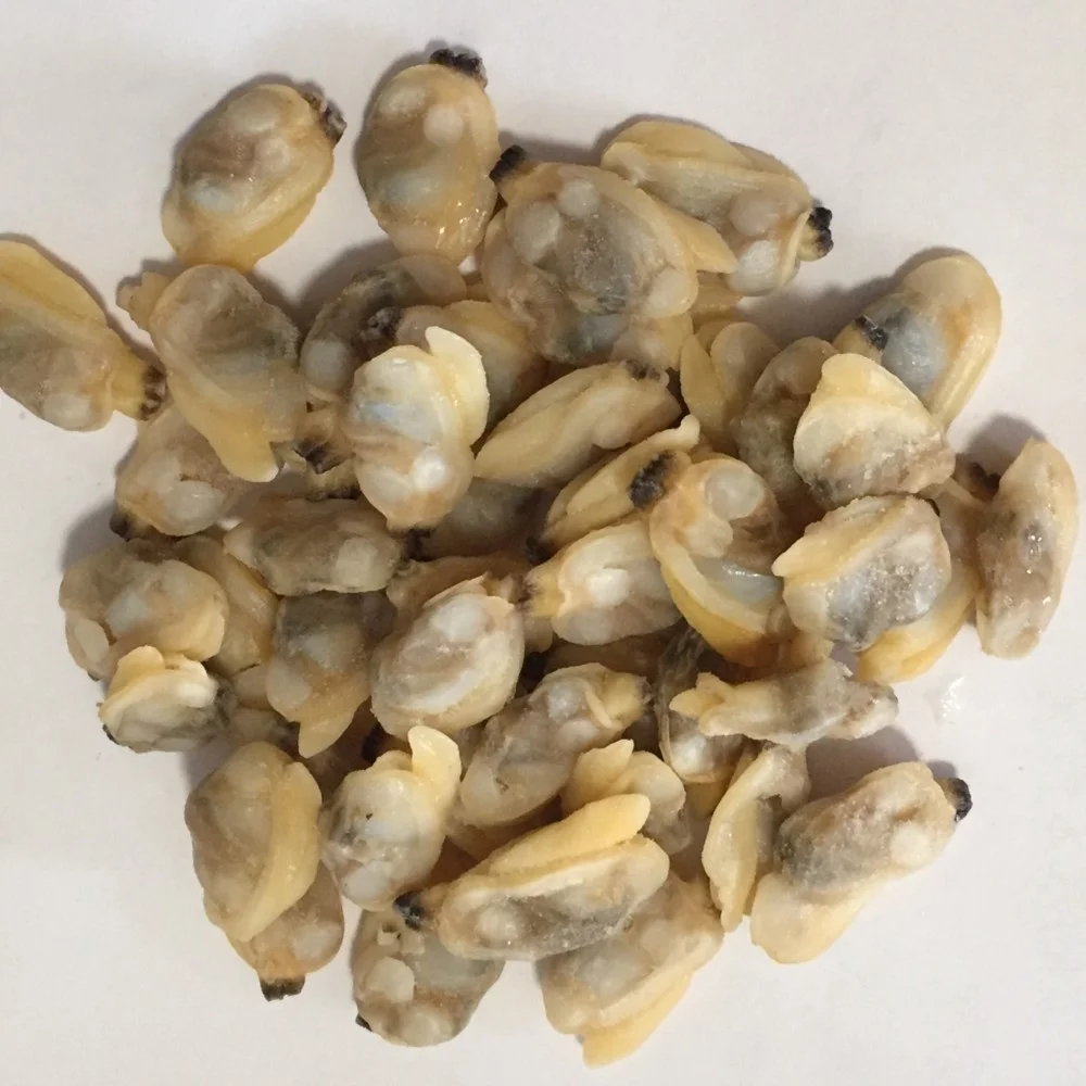 Wholesale Frozen Natural IQF Frozen Cooked Short Necked Clam Meat